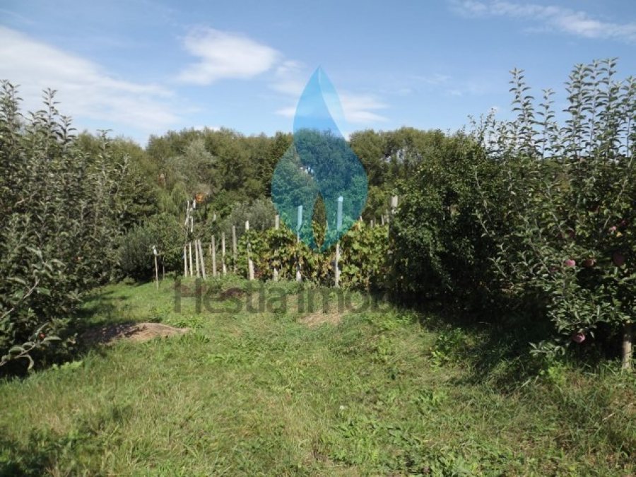 3240mp teren intravilan si casa, Barnova-Iasi.