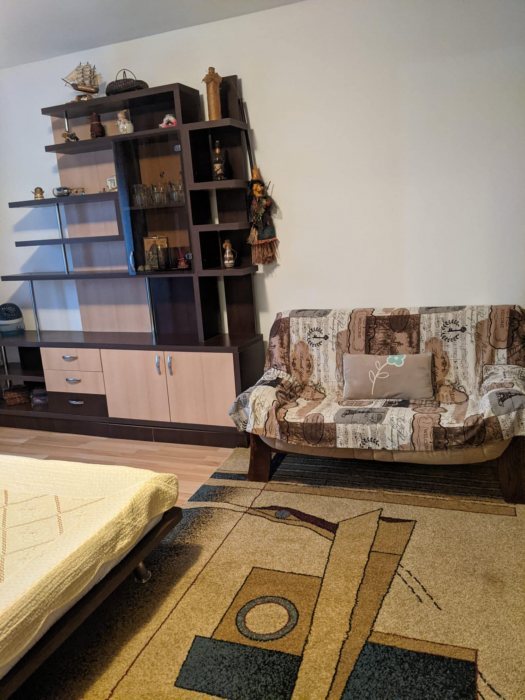 Alexandru Cel Bun Pasarela Octav Bancila apartament 1 camera decomandat 45 mp