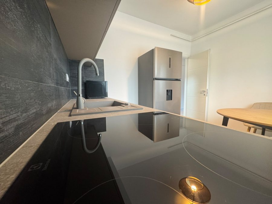Apartament de inchiriat, o camera, semidecomandat, 43 mp, Manta Rosie