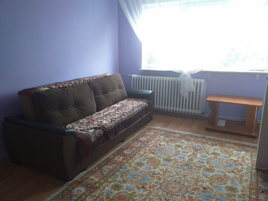 Alexandru Cel Bun Liceul Miron Costin apartament 2 camere 47 mp cu CT