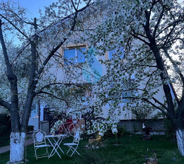 Vila eleganta P+E+M si 550mp teren, Bucium-Iasi.