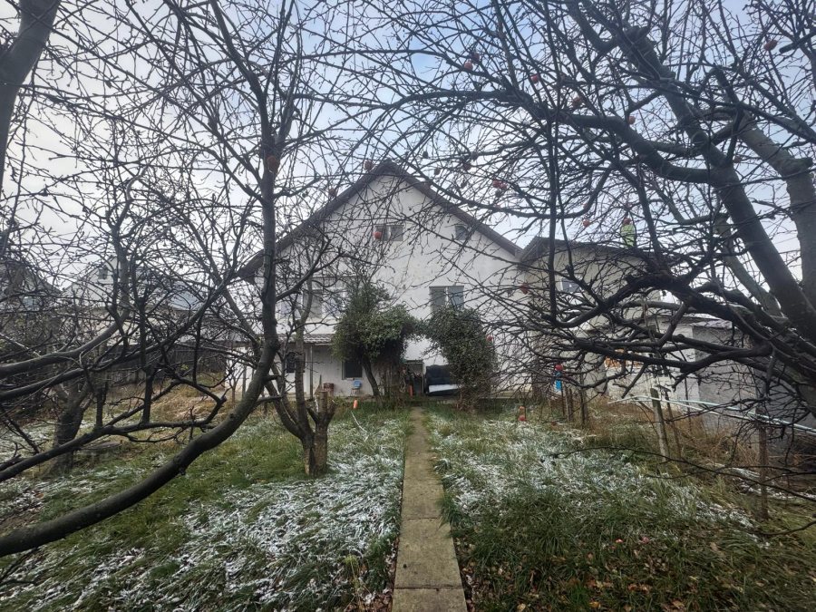 Tomesti - Osoi , vila , spatiu parter , 2400 mp teren , iaz , beci