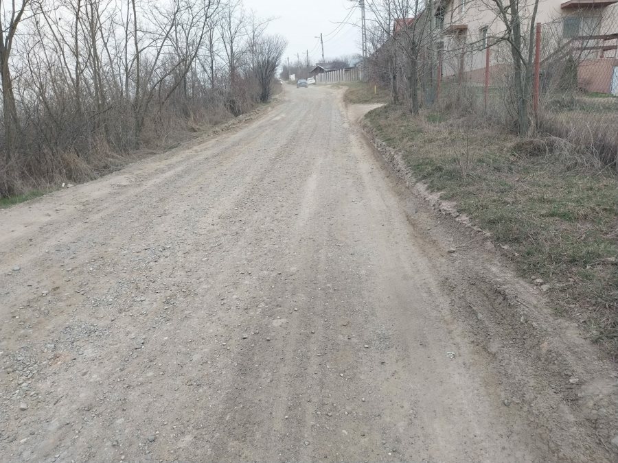 Casa individuala 180 mp locuibili zona Viticultori