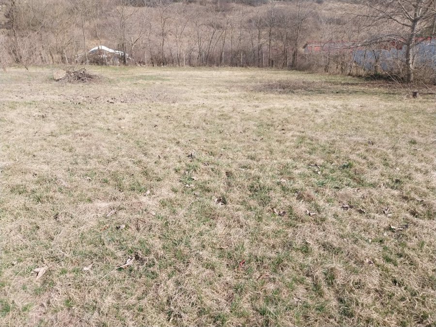 Casa individuala 180 mp locuibili zona Viticultori