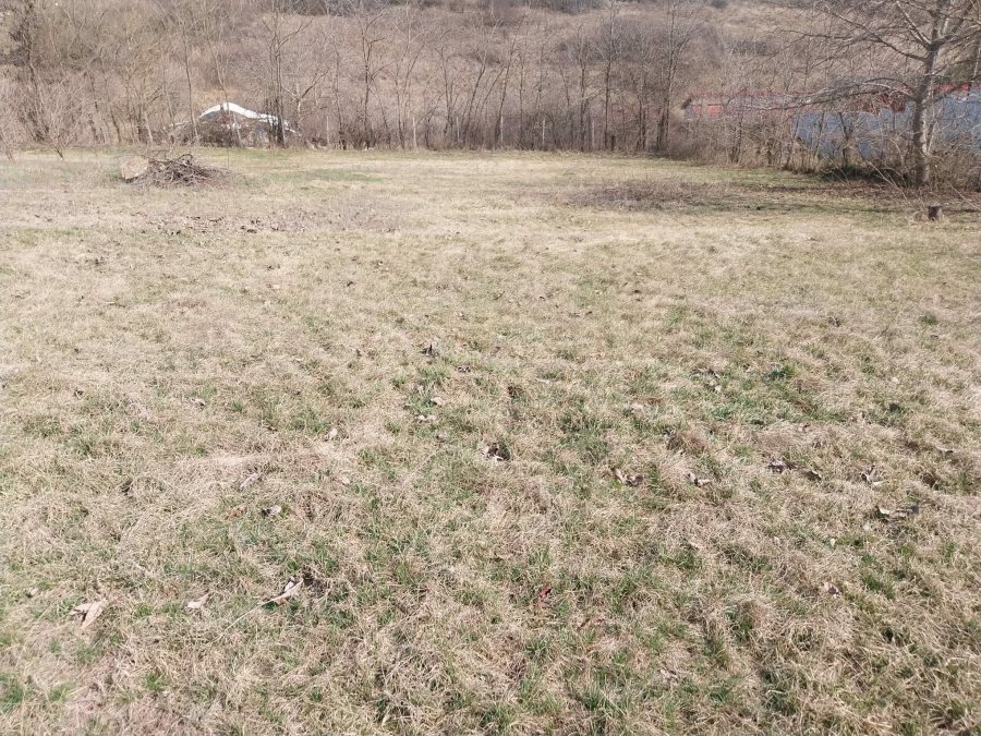 Casa individuala 180 mp locuibili zona Viticultori