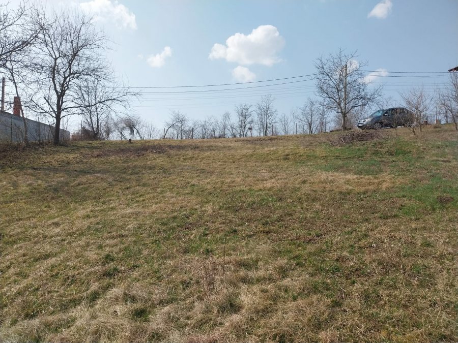 Casa individuala 180 mp locuibili zona Viticultori