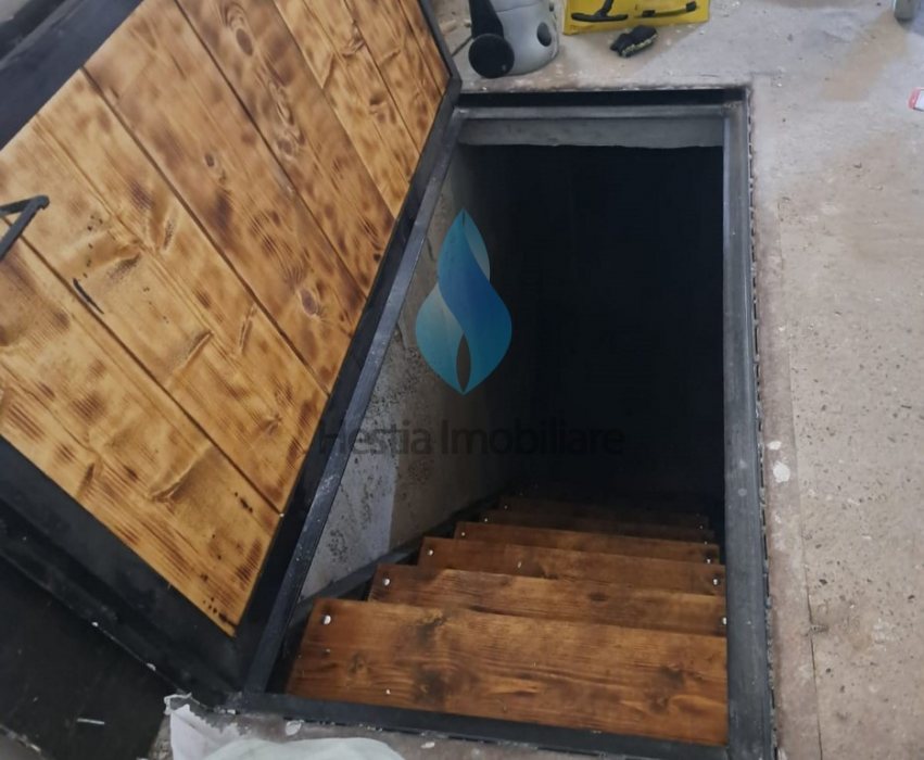 Casa cu cinci camere, beci si garaj, Lunca Cetatuii.