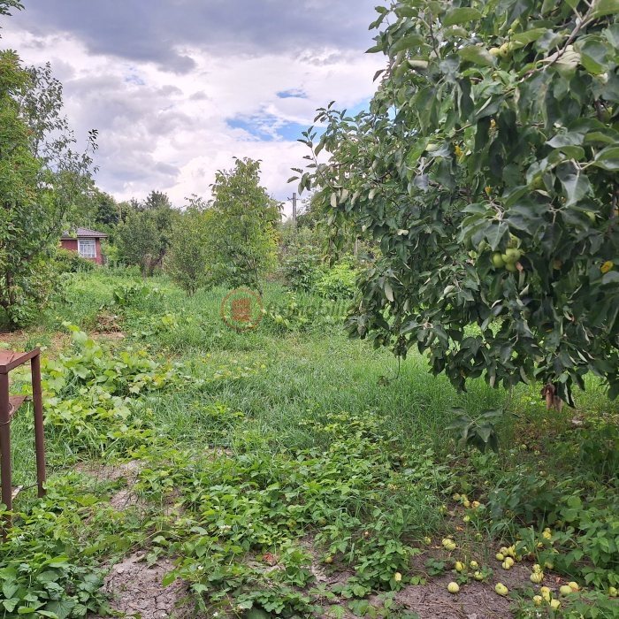 Casă bătrânească în Poieni cu 1.098mp teren