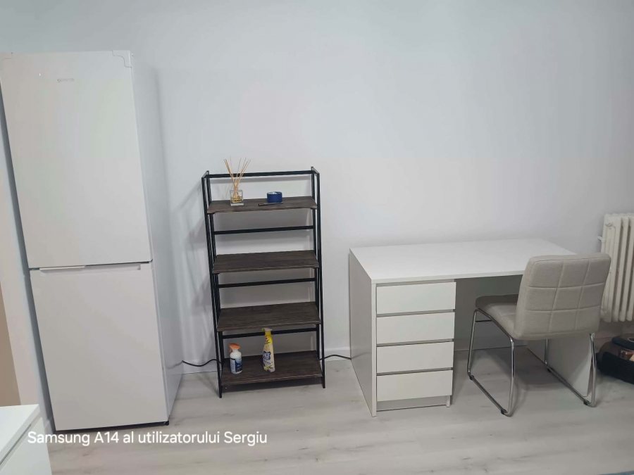 Alexandru Cel Bun Posta garsoniera 25 mp renovata