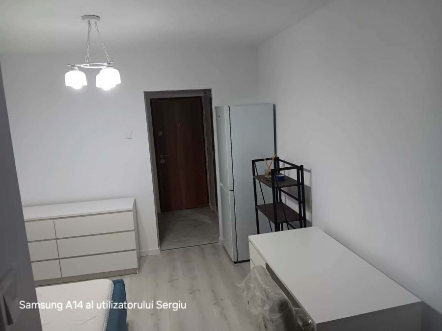 Alexandru Cel Bun Posta garsoniera 25 mp renovata