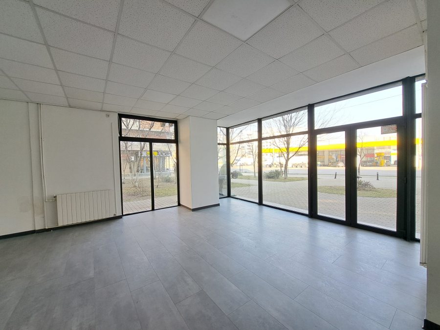 Spațiu de vânzare Păcurari 