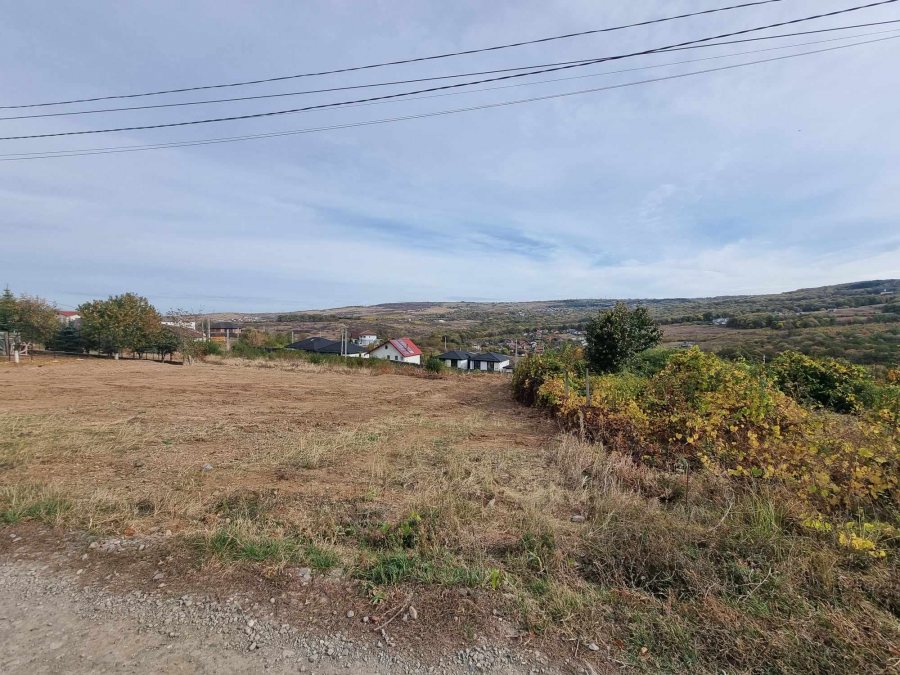 Teren 3000 MP Intravilan cu autorizatie si proiect pentru case