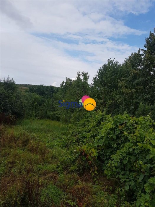 Teren intravilan de 2.000 m2 in zona Bucium - Iasi