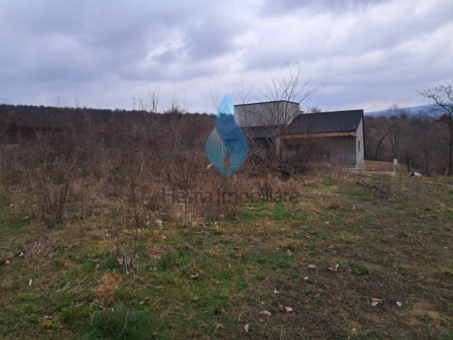 1644mp teren intravilan pentru constructii, Barnova.