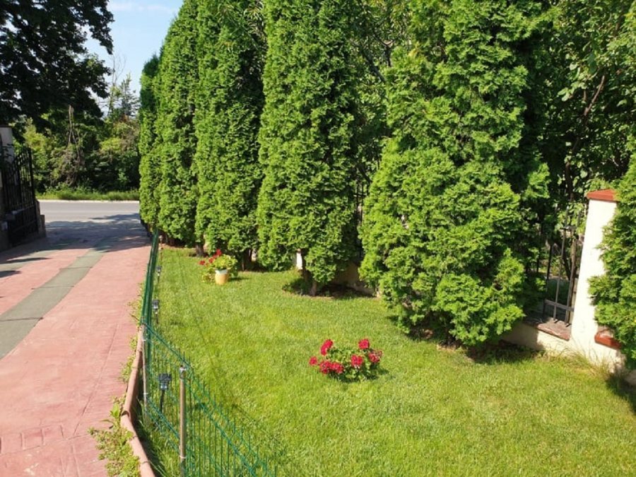 Vila D+P+E Individula Bucium cu teren  1000 mp teren