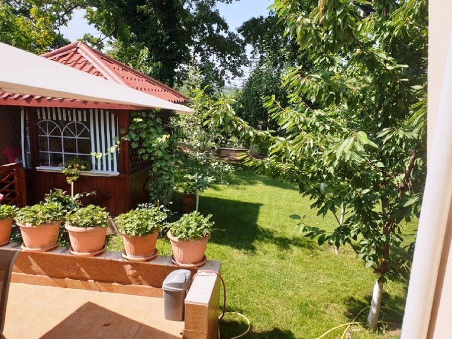 Vila D+P+E Individula Bucium cu teren  1000 mp teren