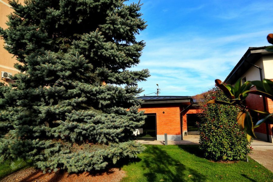 Vila eleganta P+E Bucium