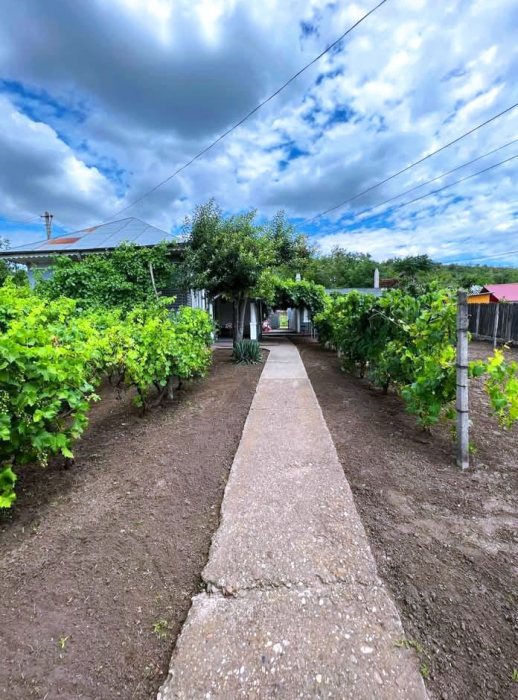 Casă 🏡 de vânzare și terenul aferent intravilan într-o zonă liniștită, plăcută a orașului TECUCI.