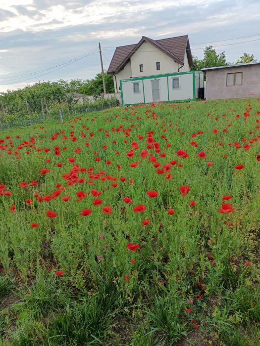 Proprietate de vanzare langa Bucuresti