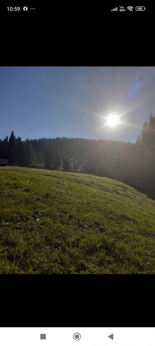 Teren de vânzare în zona plai in Izvoarele Sucevei
