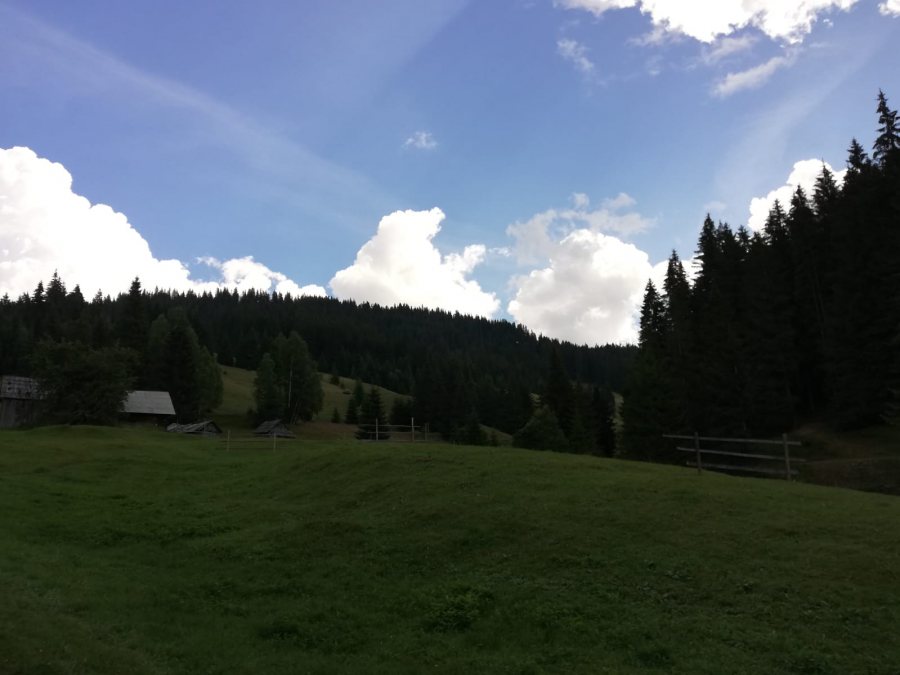 Teren de vânzare în zona plai in Izvoarele Sucevei